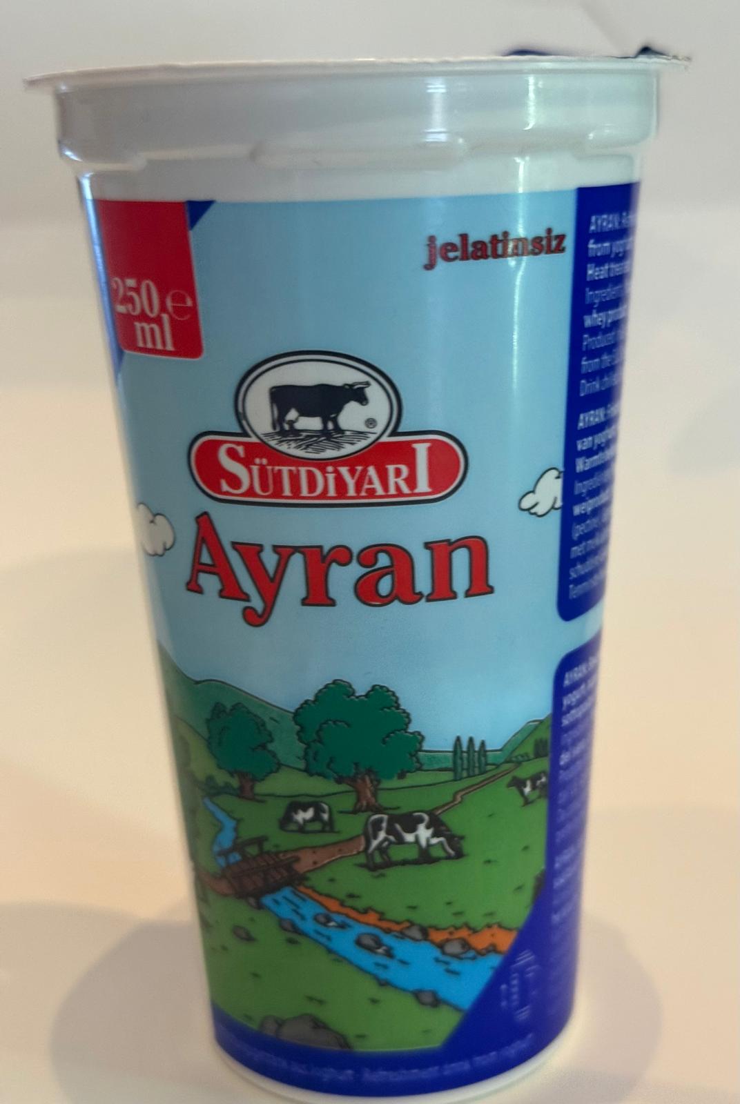 0ae5b898-9f1e-41d0-a183-2417b43f3f97 Ayran Lassi - Image 1