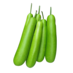 Louki (Bottle gourd)