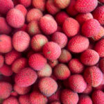 Lychee